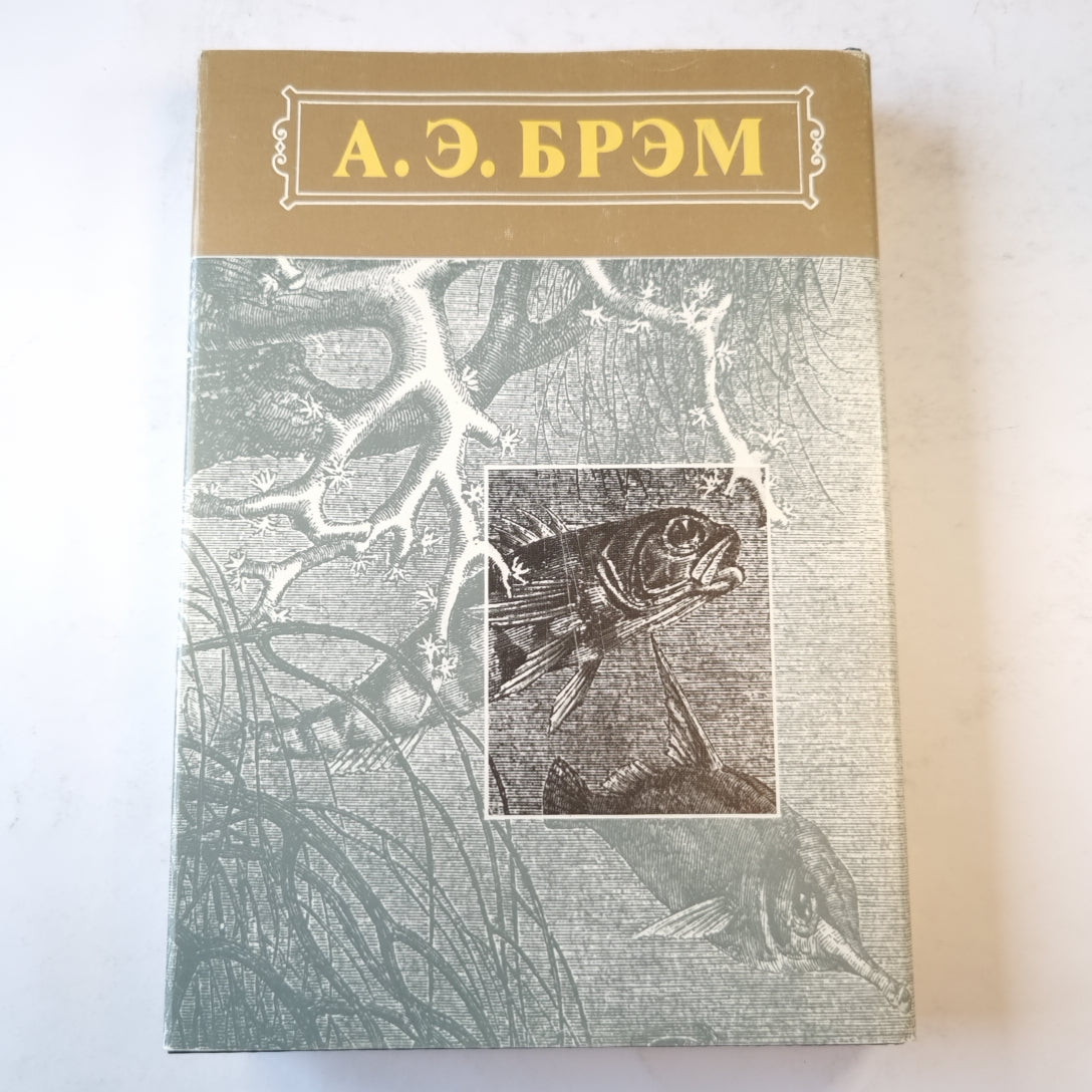 Жизнь животных. Пресмыкающиеся. Земноводные. Рыбы. Беспозвоночные. Том 3