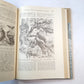 Жизнь животных. Пресмыкающиеся. Земноводные. Рыбы. Беспозвоночные. Том 3