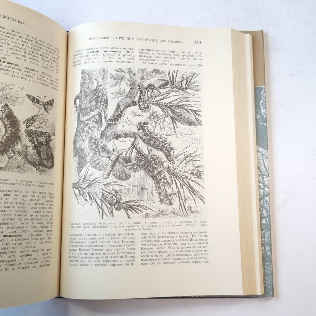 Жизнь животных. Пресмыкающиеся. Земноводные. Рыбы. Беспозвоночные. Том 3