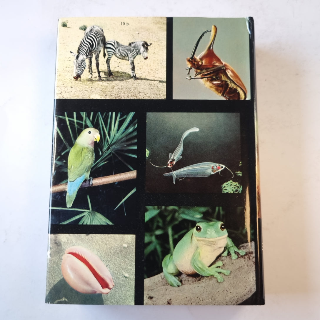 Иллюстрированная энциклопедия животных