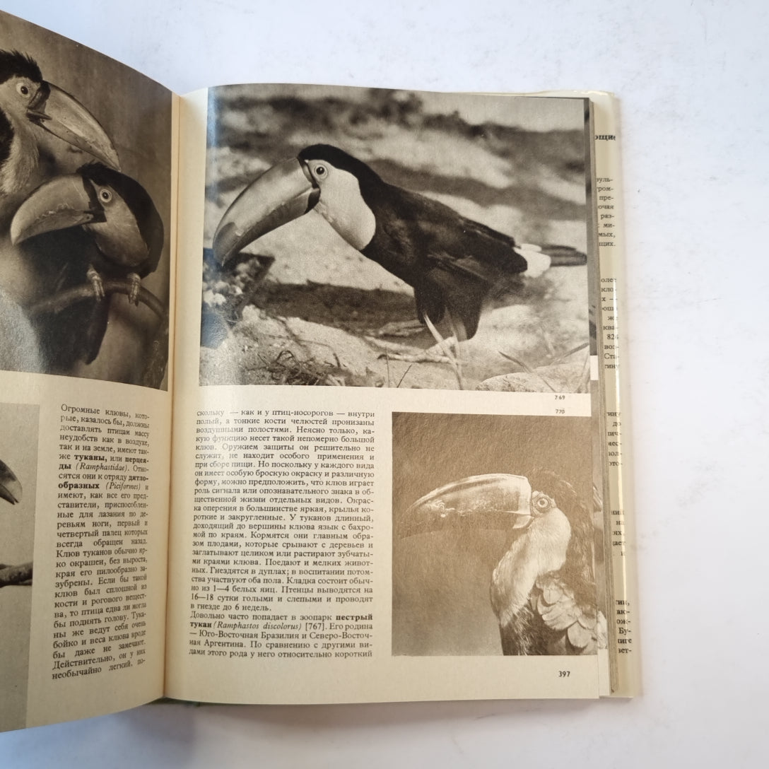 Иллюстрированная энциклопедия птиц