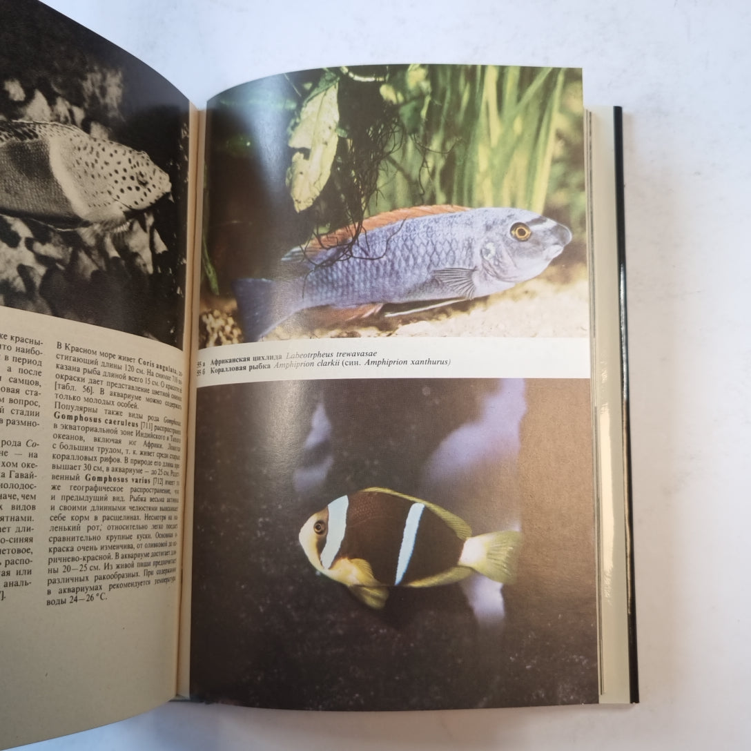 Иллюстрированная энциклопедия рыб