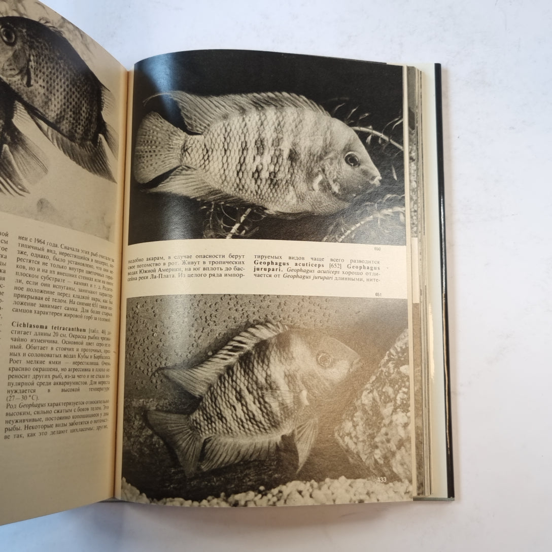 Иллюстрированная энциклопедия рыб