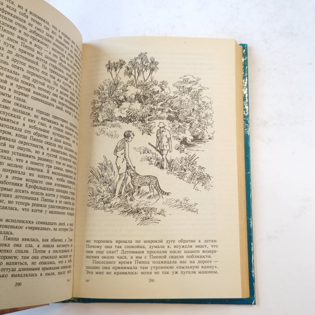 Пятнистый сфинкс (Зеленая серия)