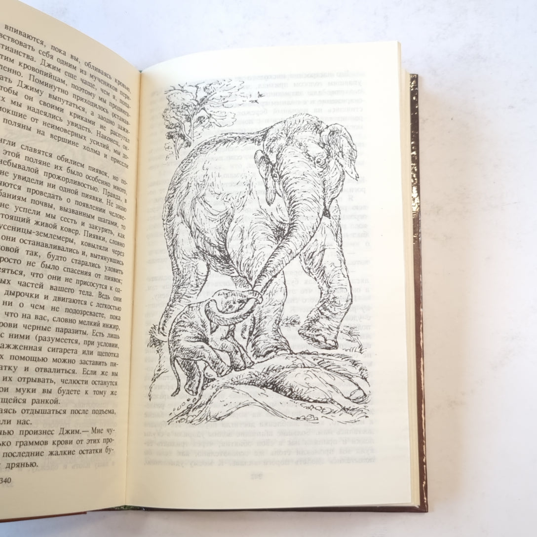 Земля шорохов (Зеленая серия)