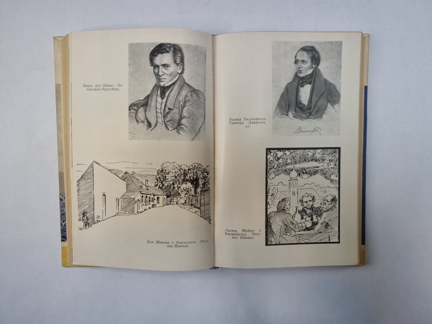 Шуберт (Серия: "Жизнь замечательных людей")