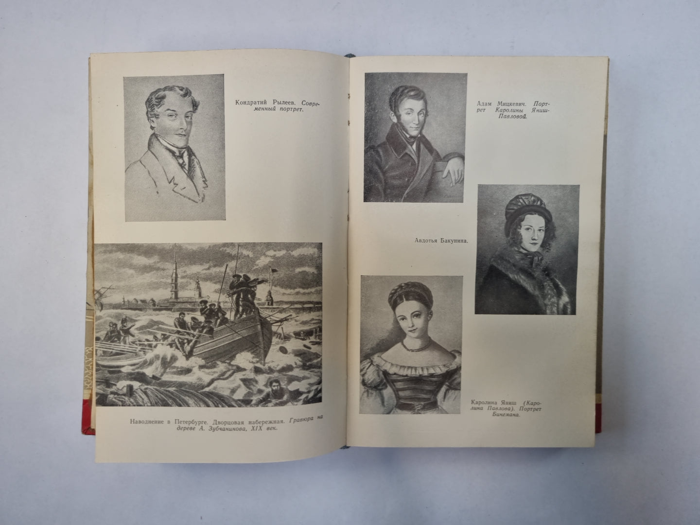 Мицкевич (Серия: "Жизнь замечательных людей")