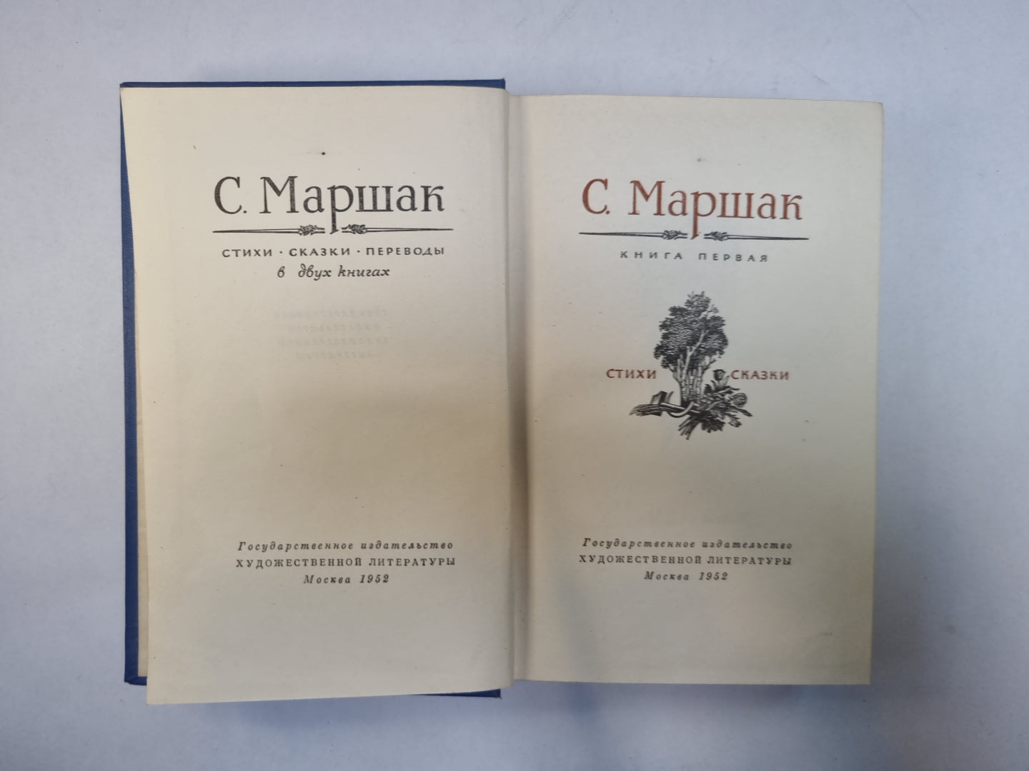 Стихи. Сказки. Переводы. В двух книгах. Книга 1
