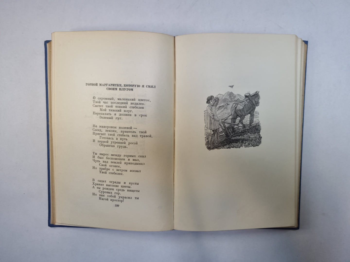 Стихи. Сказки. Переводы. В двух книгах. Книга 2