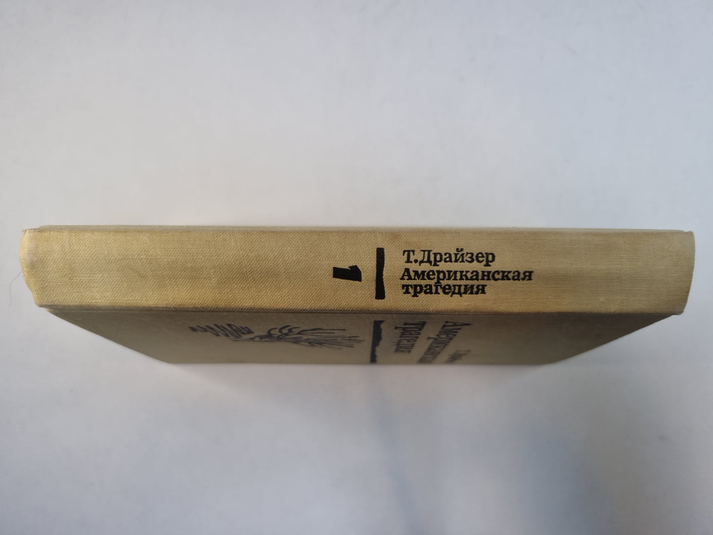 Американская трагедия.Роман в двух частях. Часть 1