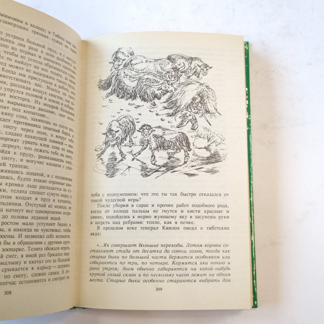 Только звери (Зеленая серия)