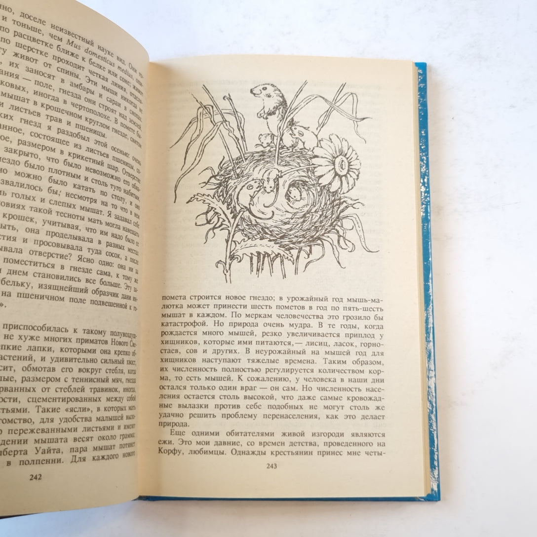 Ковчег на острове (Зеленая серия)