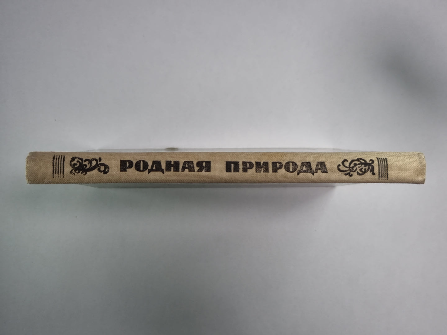 Стихи русских поэтов