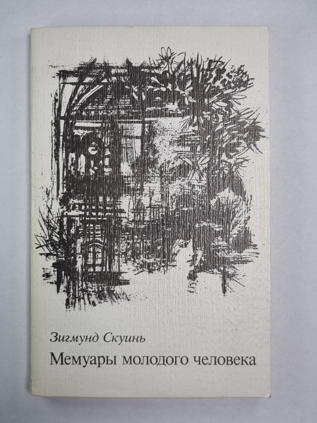 Мемуары молодого человека