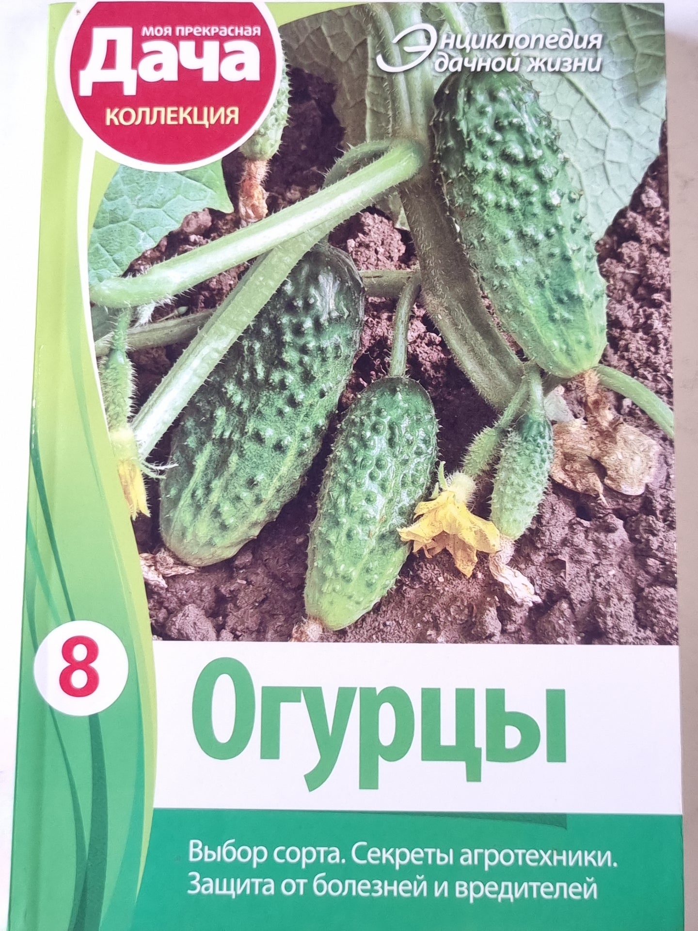 Огурцы