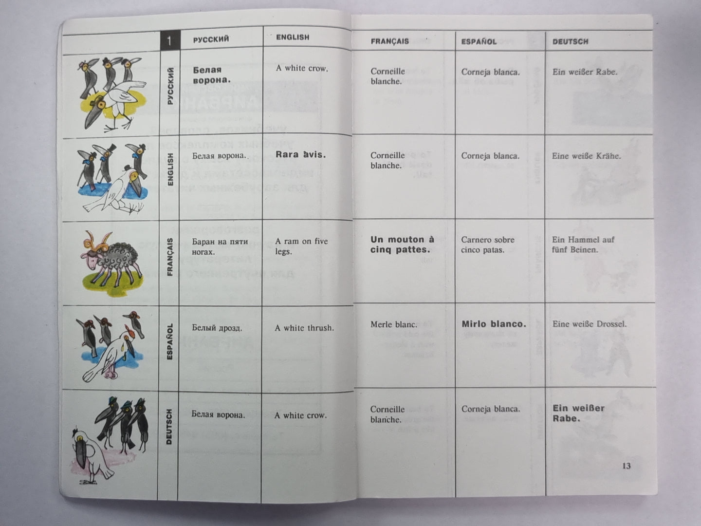 Иллюстрированный словарь Идиом. На пяти странах