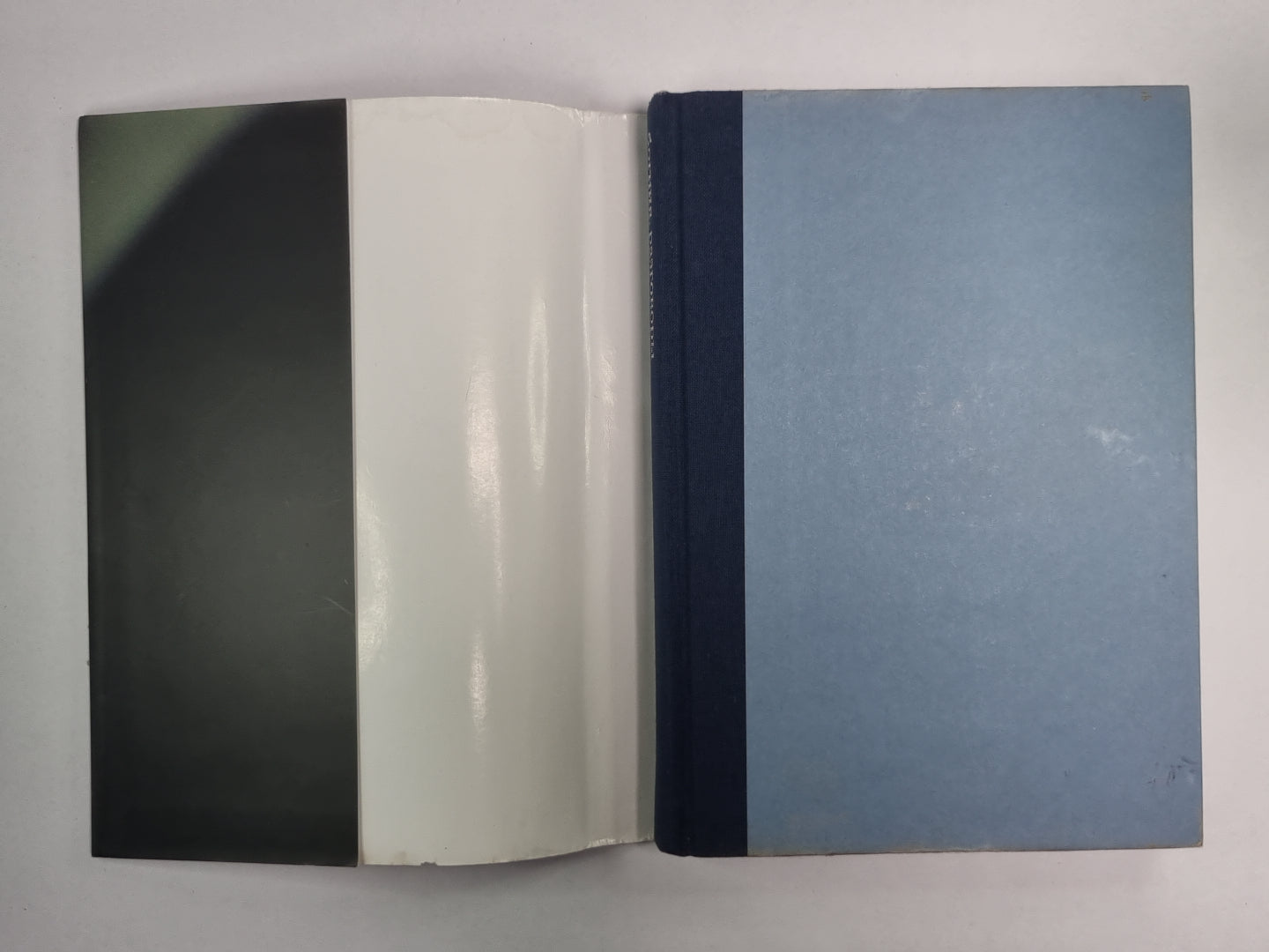 Богиня. Разговоры с Ренатой Литвиной