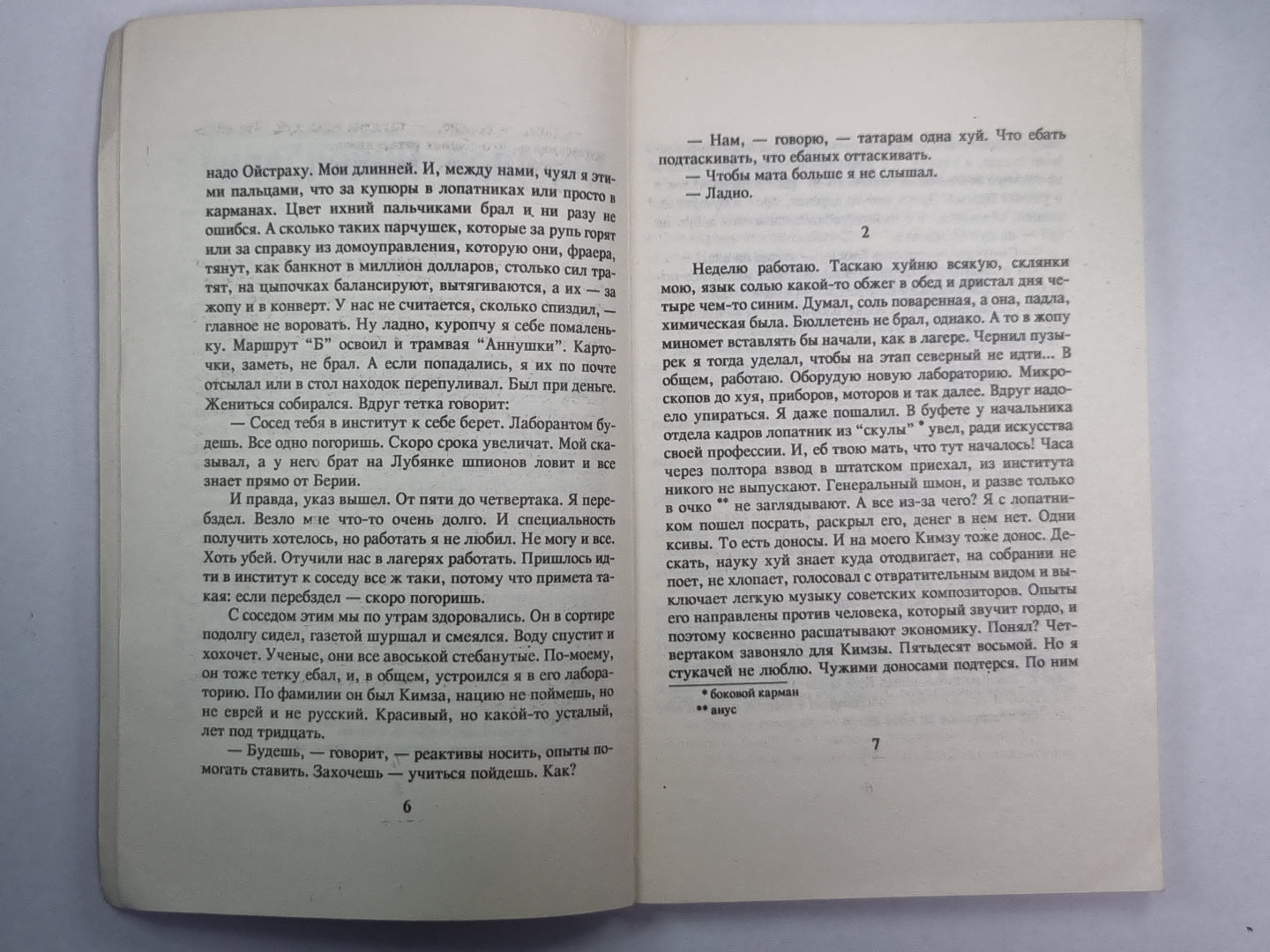 Николай Николаевич. Маскировка
