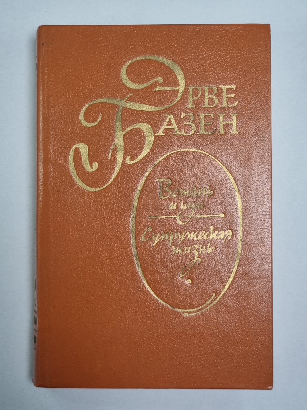 Встань и иди. Супружеская жизнь