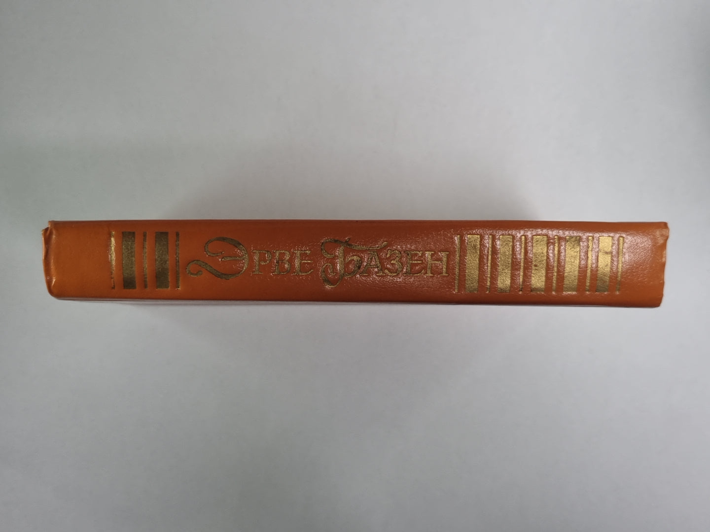 Встань и иди. Супружеская жизнь