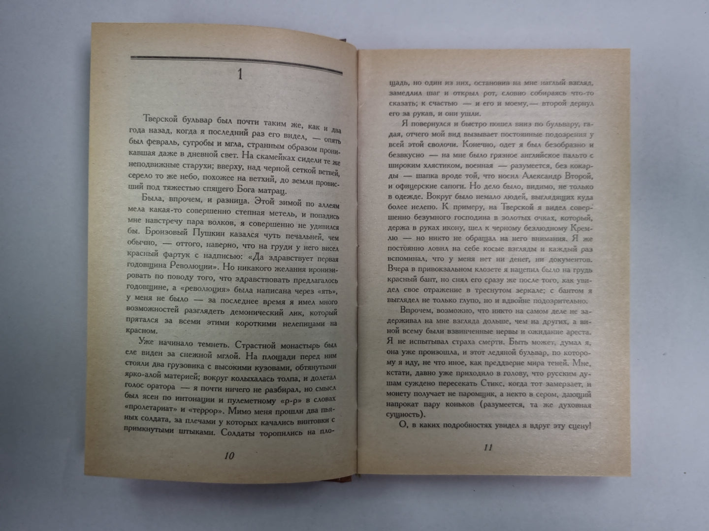 Чапаев и пустота