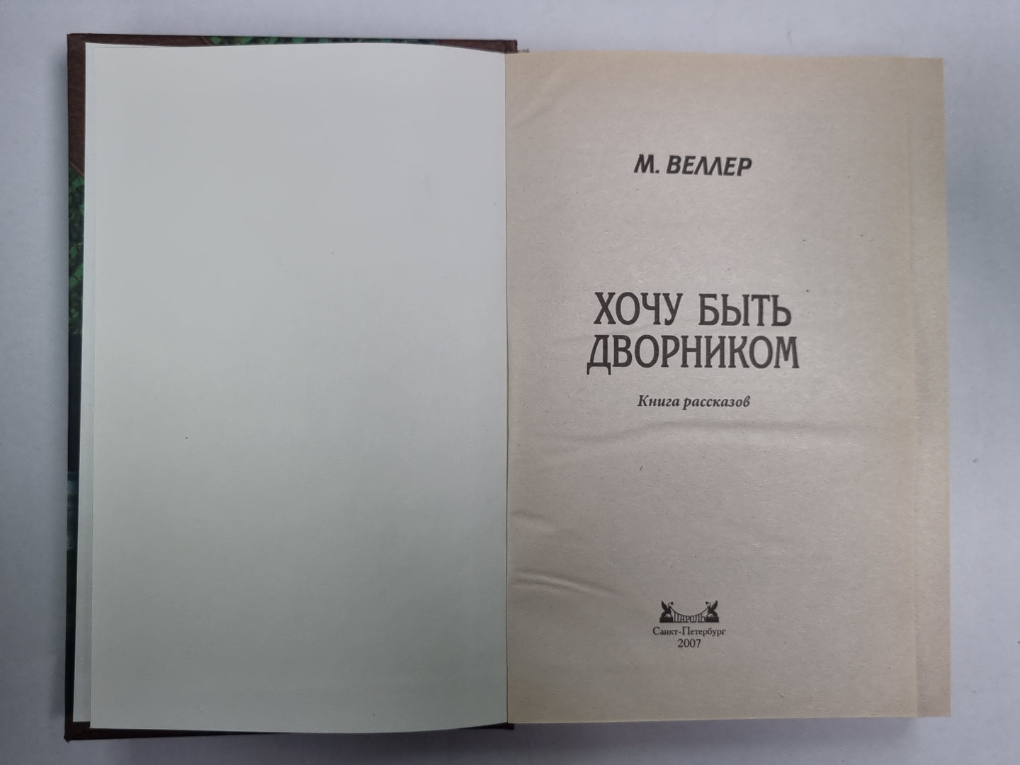 Хочу быть дворником. Книга рассказов