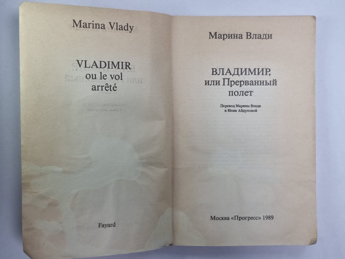 Владимир, или Прерванный полёт