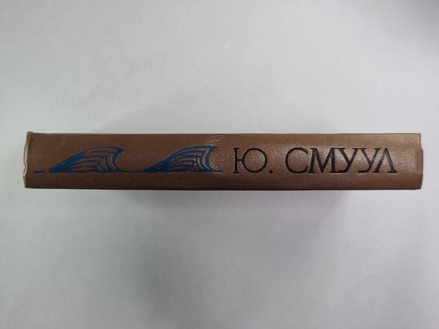 Ледовая книга. Монологи