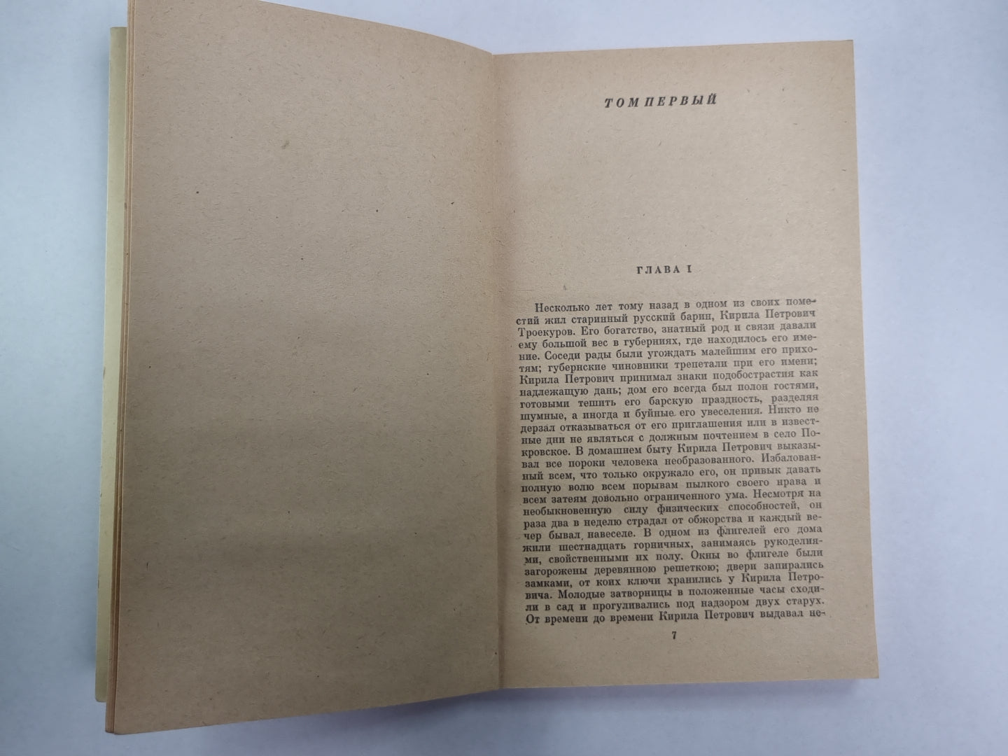 Дубровский. Капитанская дочь