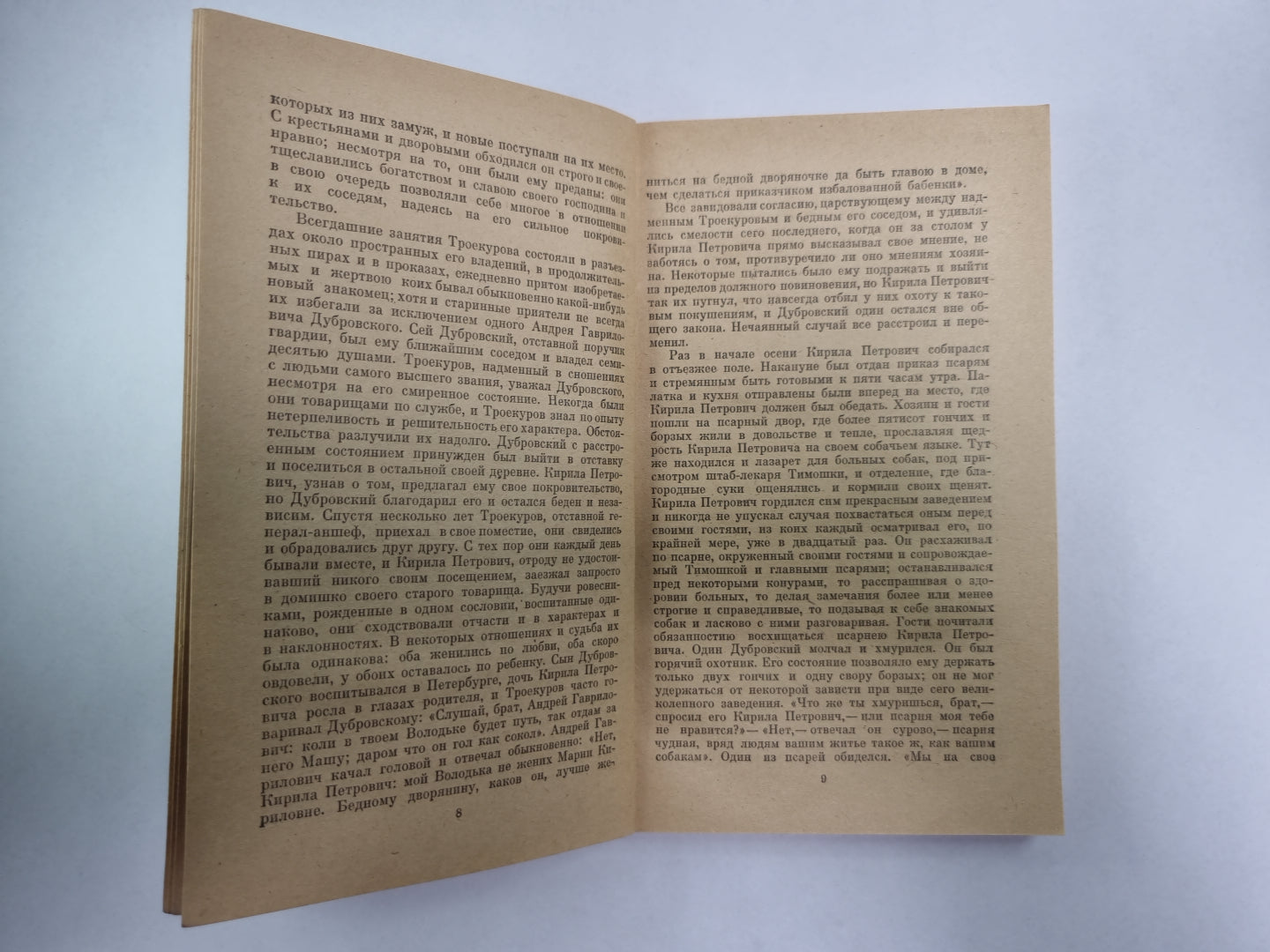 Дубровский. Капитанская дочь