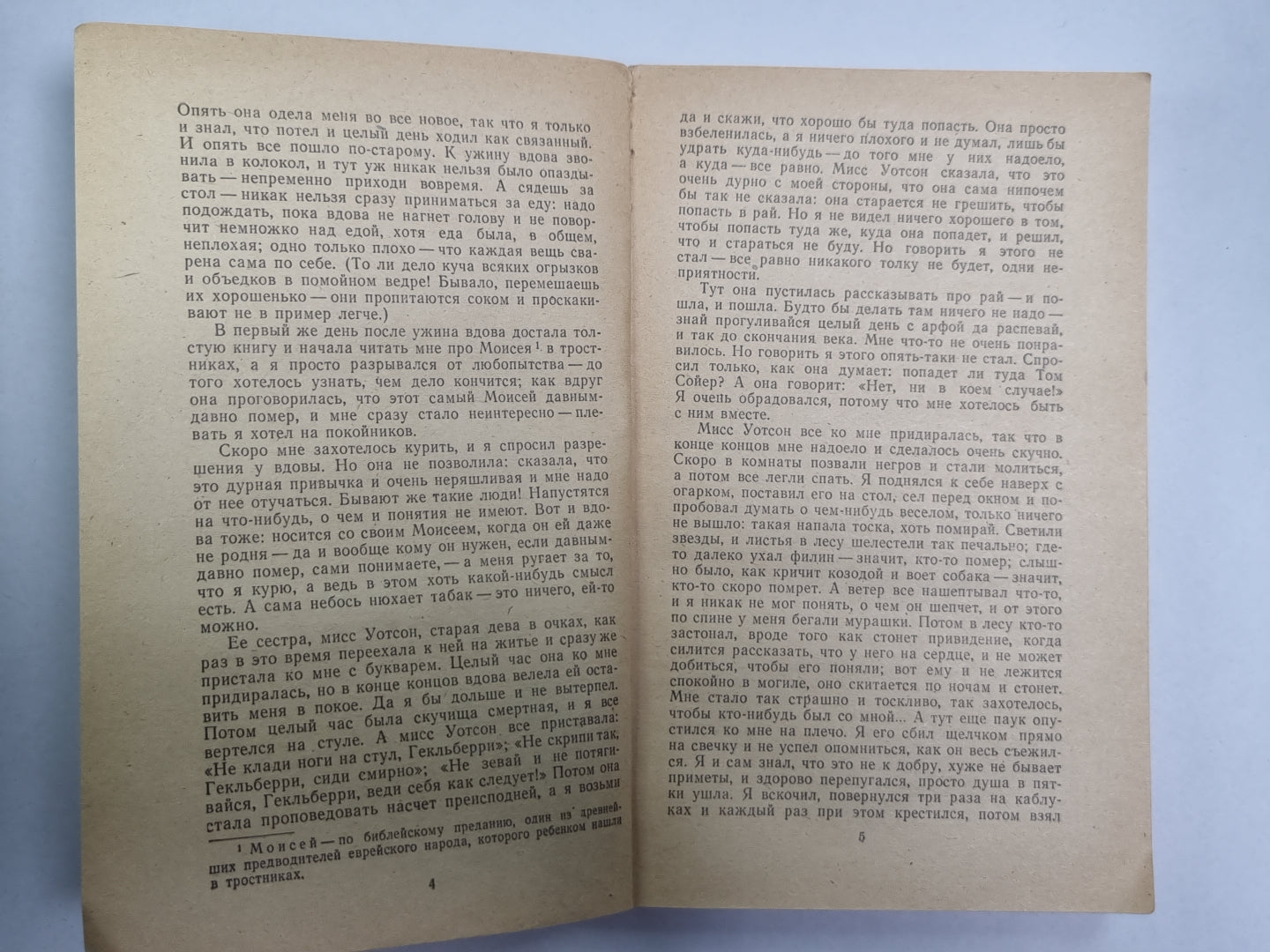 Приключения Гекльберри Финна