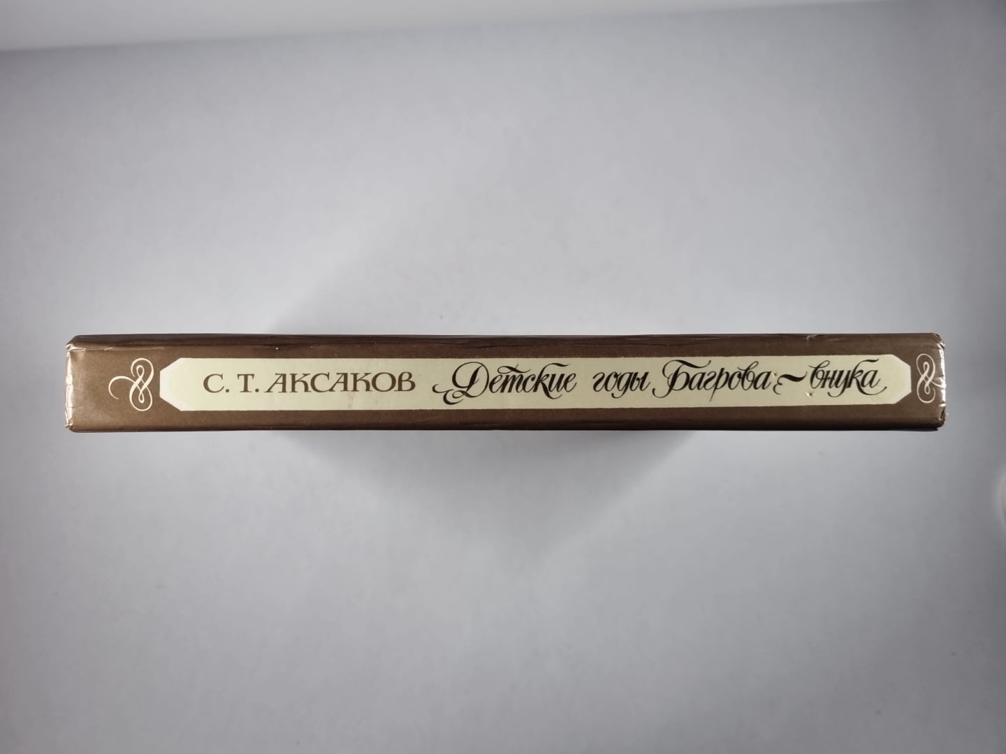 Детские годы Багрова-внука, служащее продолжением Семейной хроники