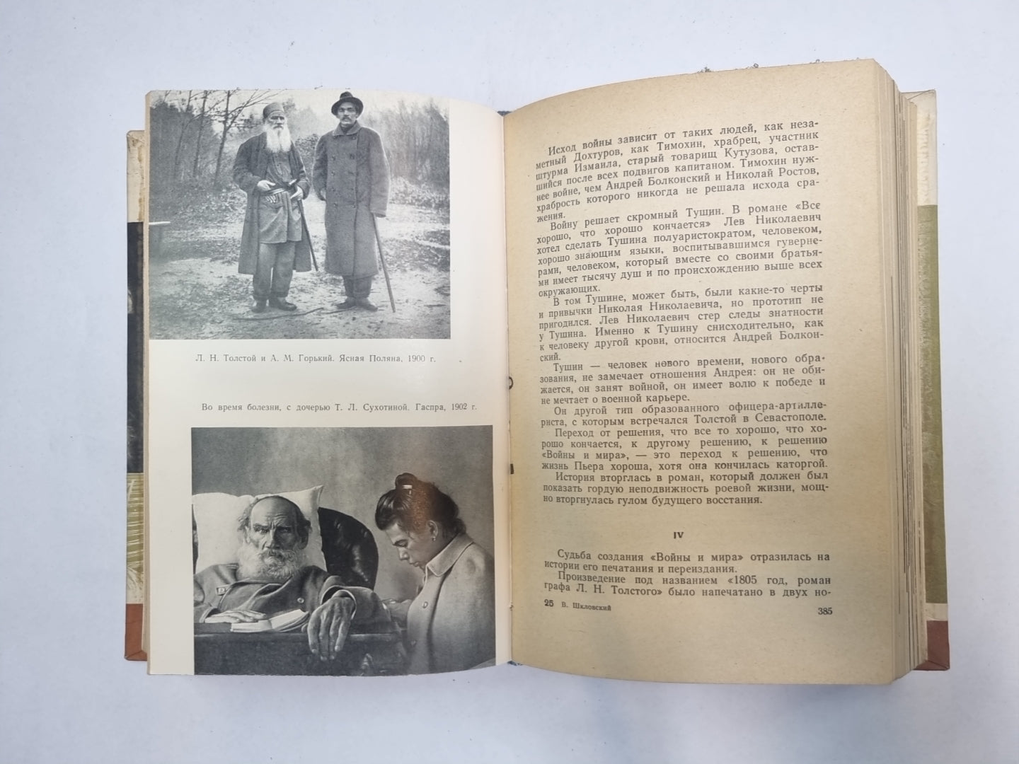 Лев Толстой (Серия: "Жизнь замечательных людей")