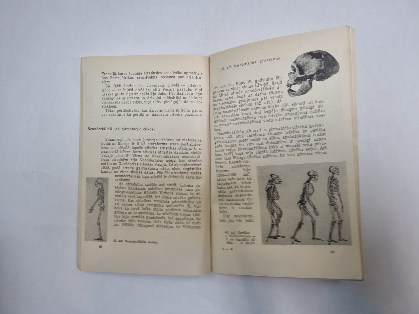 Cilvēka izcelšanās