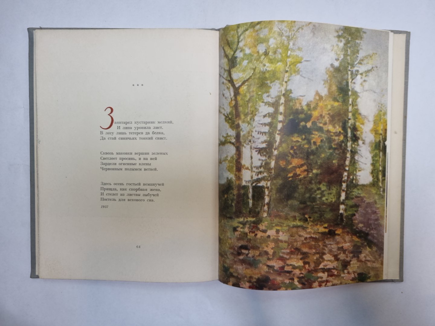 Картины Подмосковья. Стихи и пейзажи