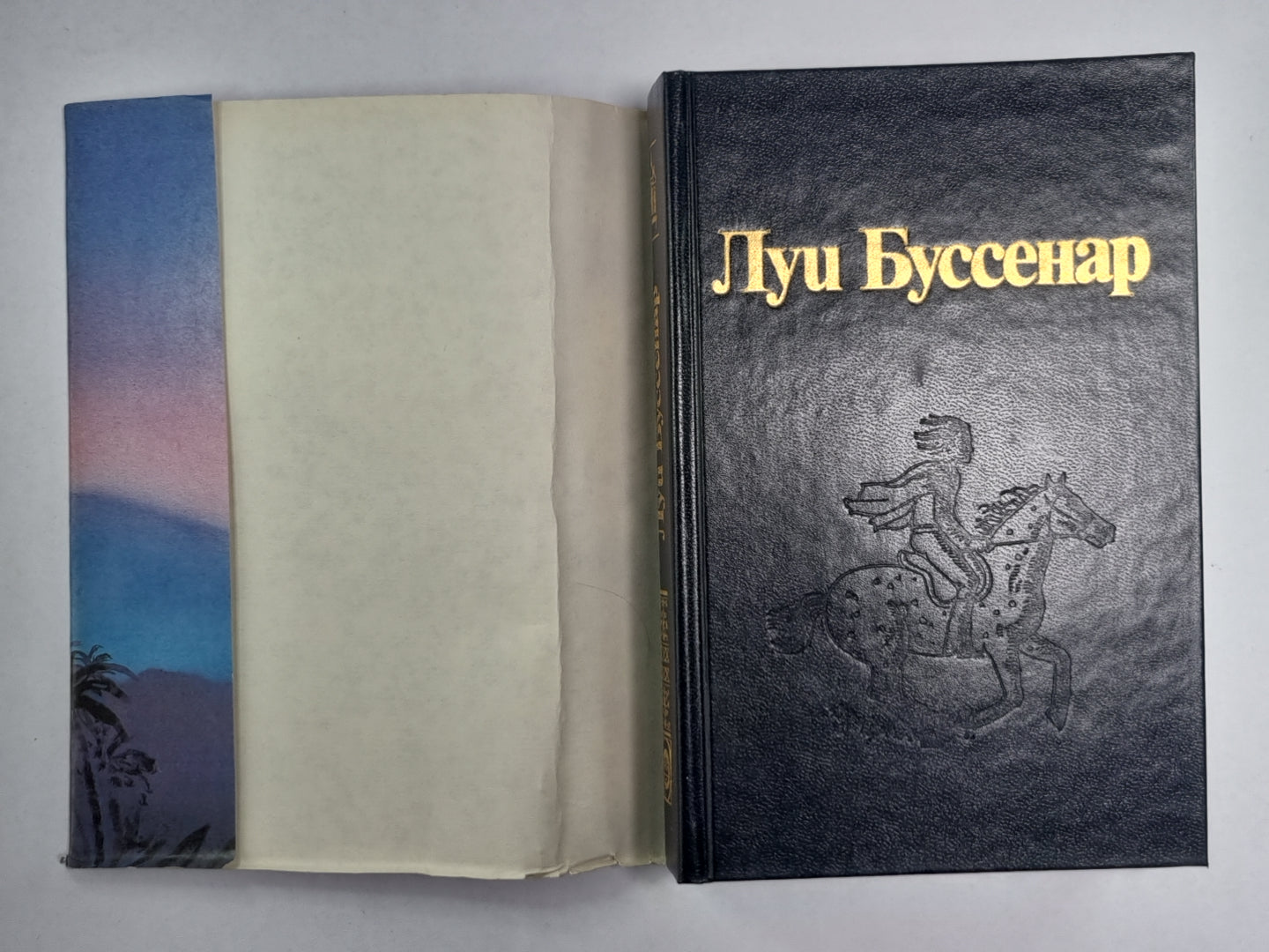 Кругосветное путешествие юного парижанина. Железная рука. Л.Буссенар. Собрание романов