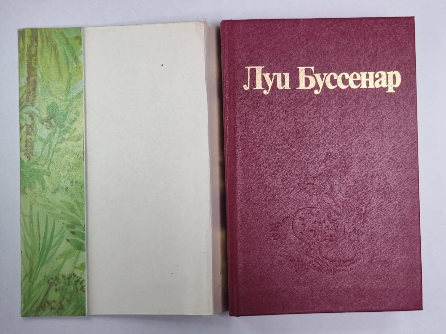 Приключения в стране львов. Приключения в стране тигров. Приключения в стране бизонов. От Орлеана до Танжера. Л.Буссенар. Собрание романов. Том 2