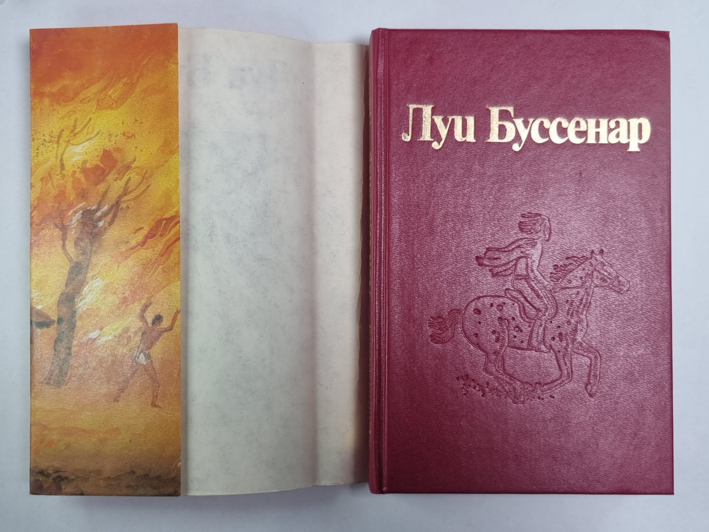 Охотники за каучуком. Л.Буссенар. Собрание романов. Серия 2. Том 6