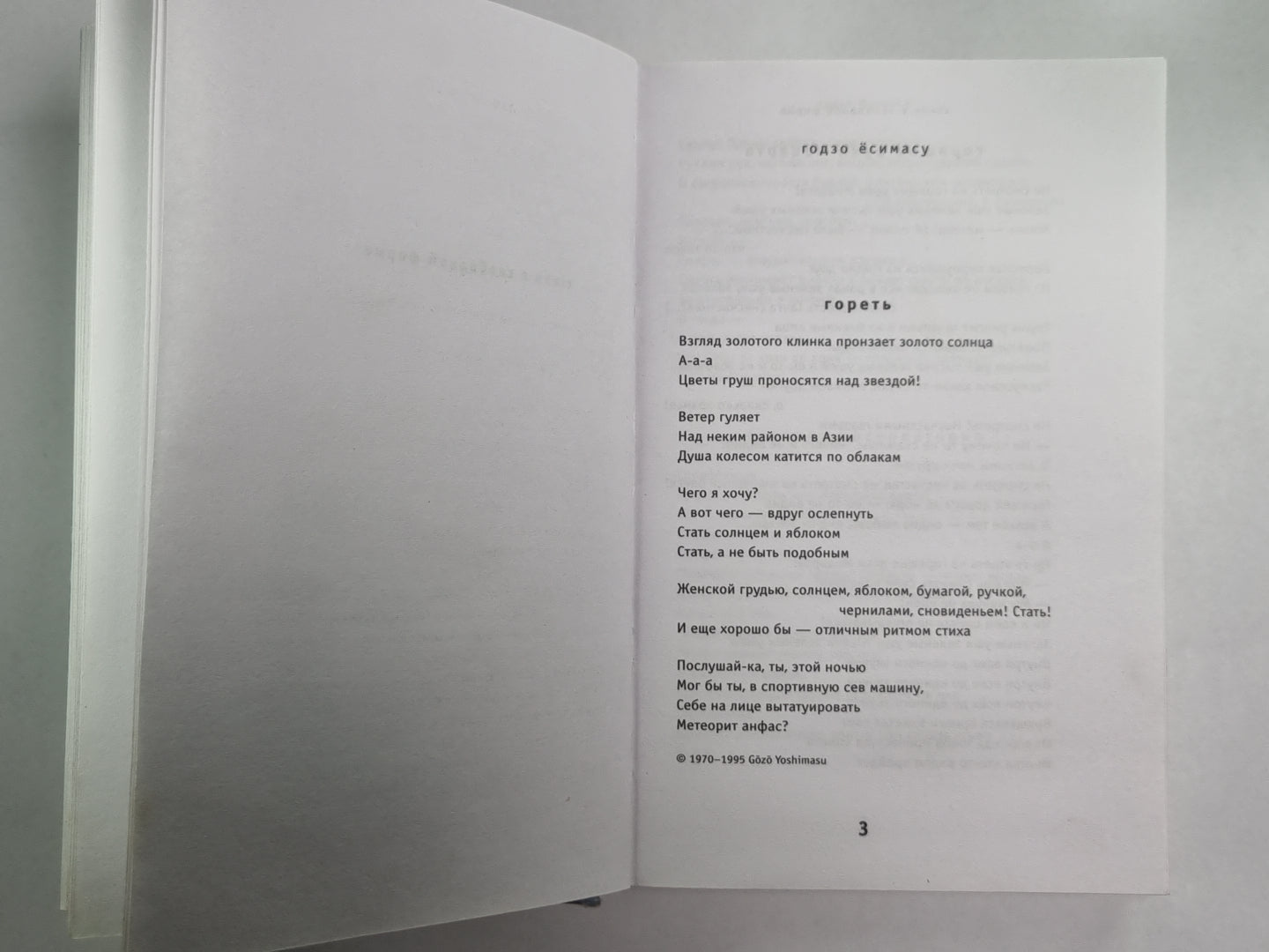 Странный ветер. Современная японская поэзия