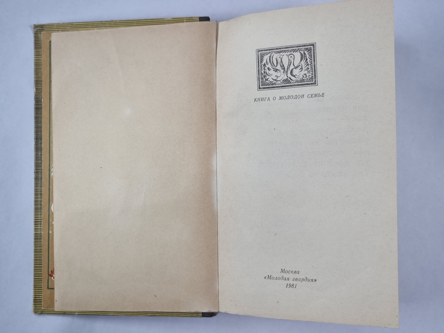 Мы строим дом