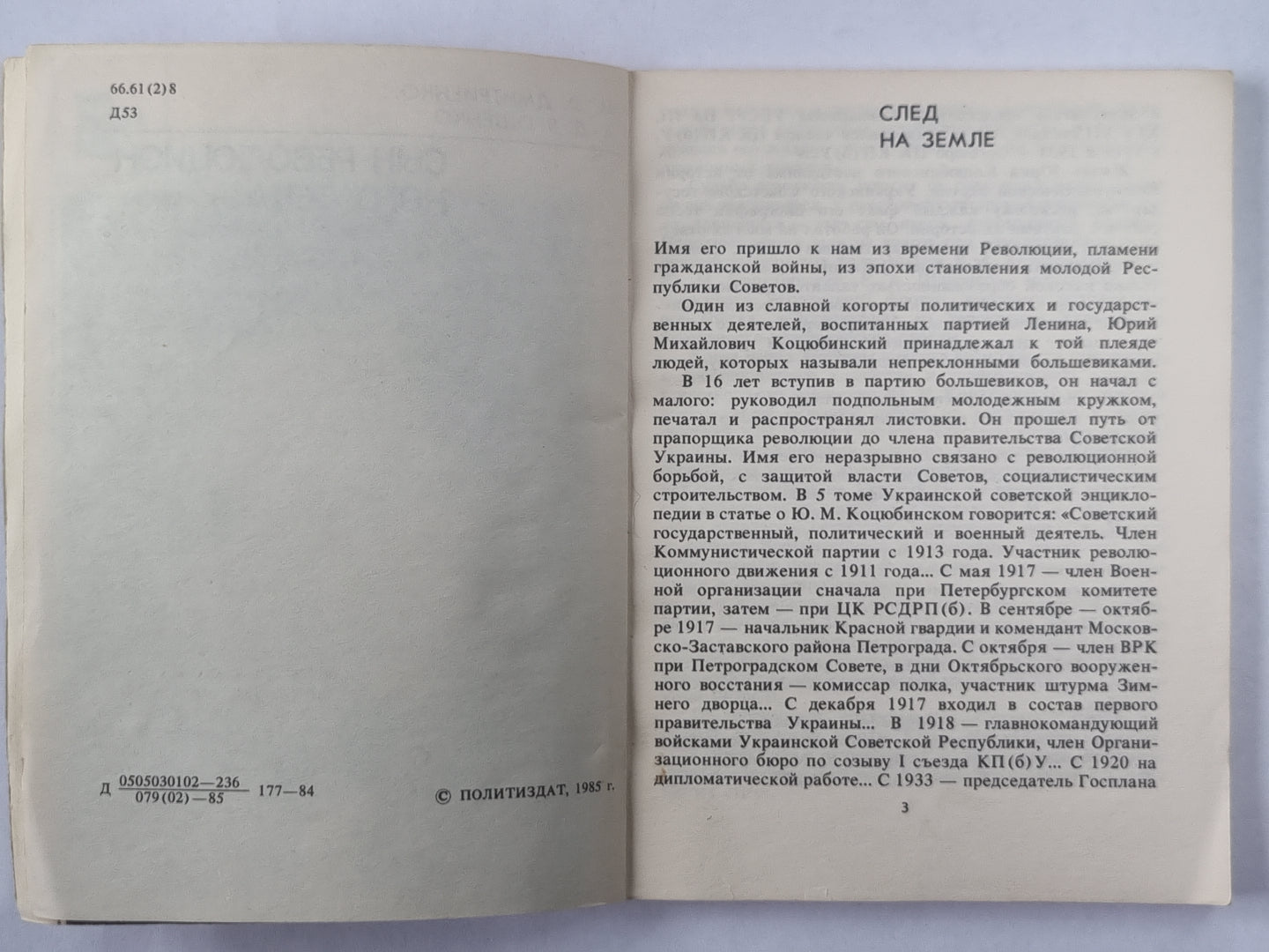 Сын революционного века. Из хроники одной жизни
