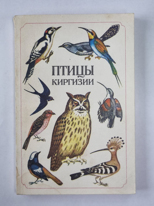 Птицы Киргизии. Часть 2