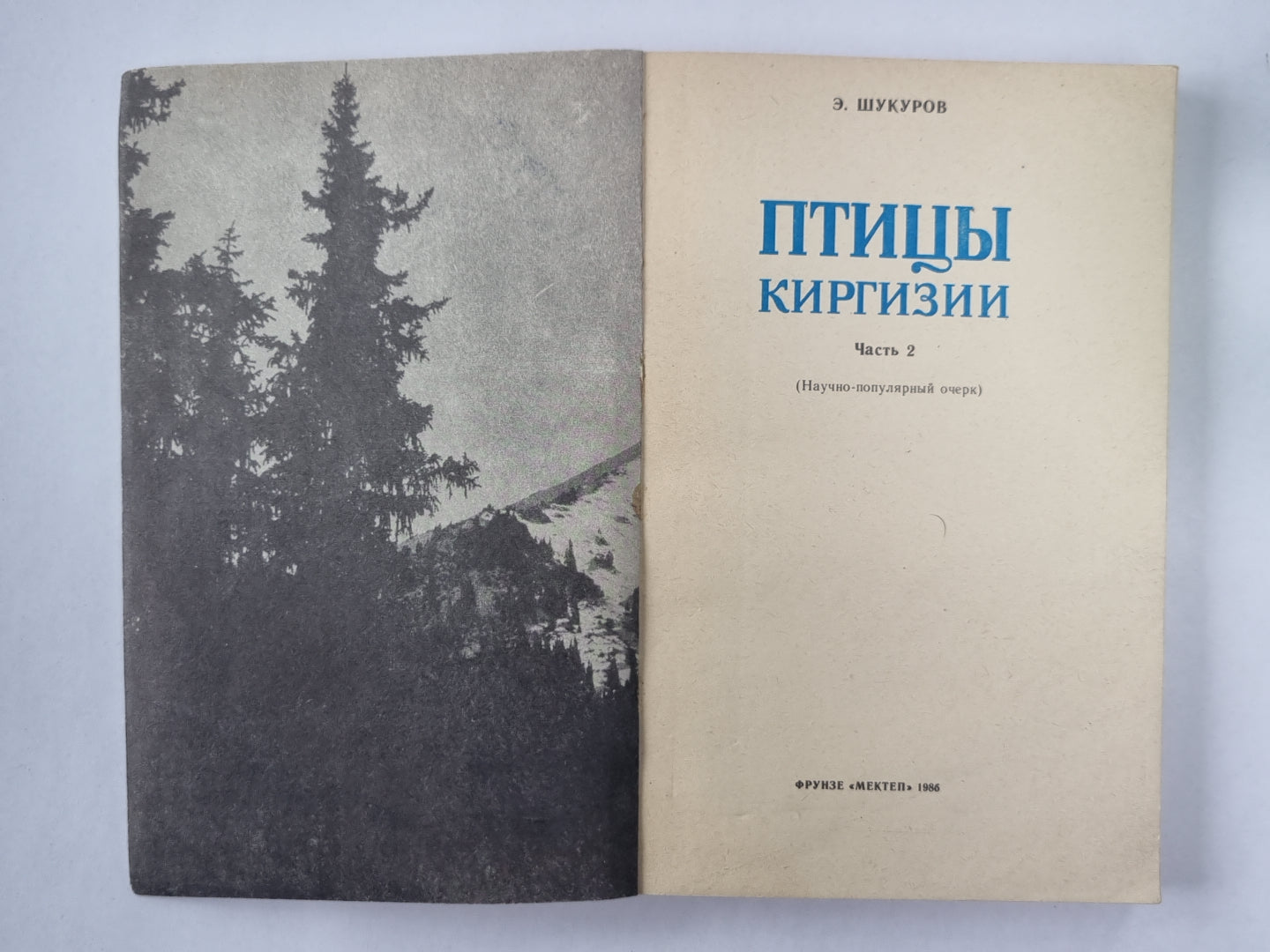 Птицы Киргизии. Часть 2