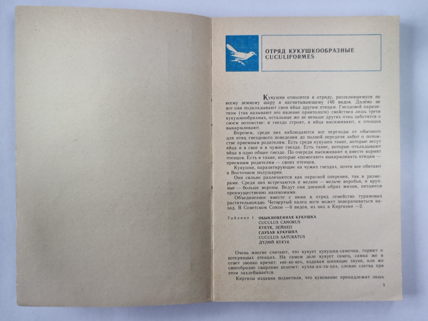 Птицы Киргизии. Часть 2