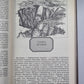 Владелец Йокнапатофы. Писатели о писателях