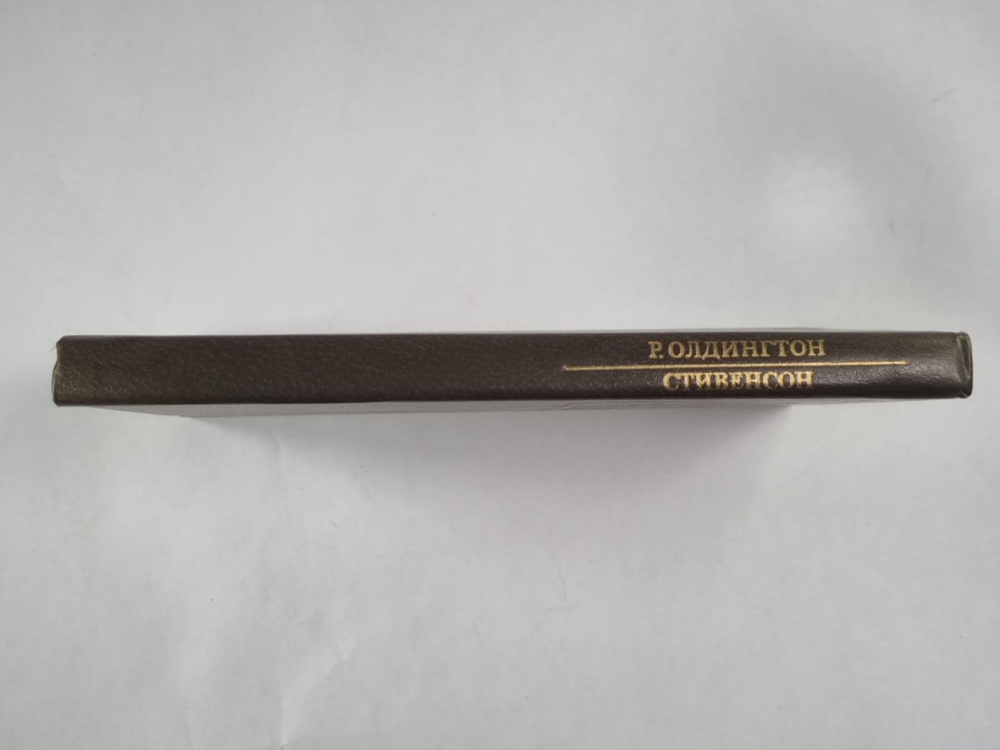 Стивенсон. Писатели о писателях