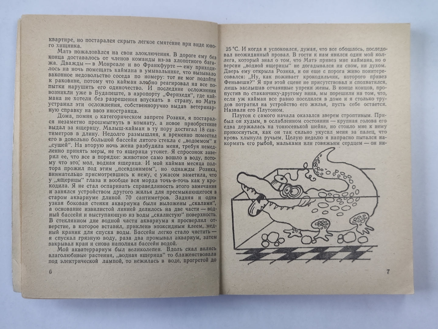 Заводи кого угодно, только не крокодило!