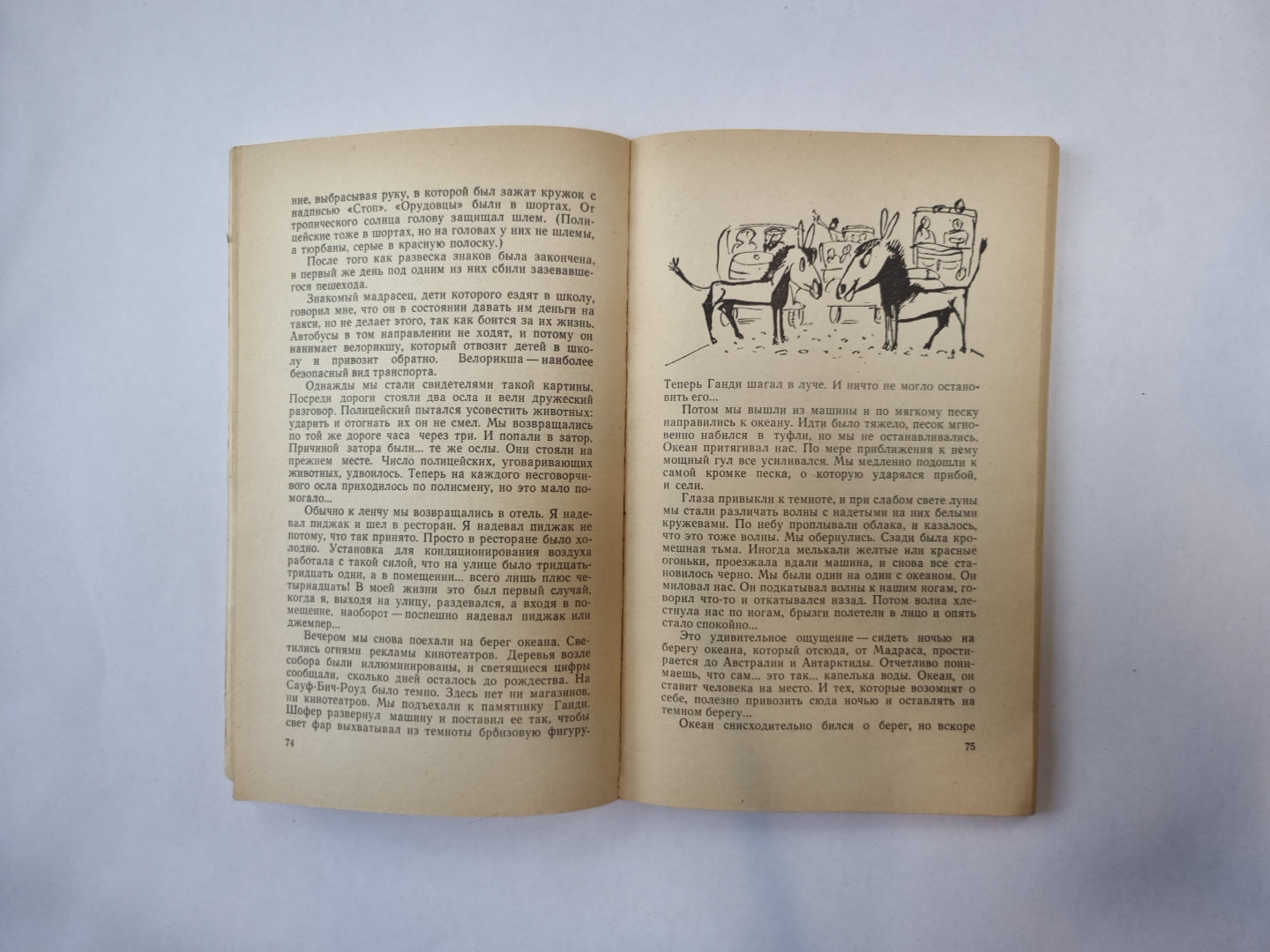 Солнце в декабре