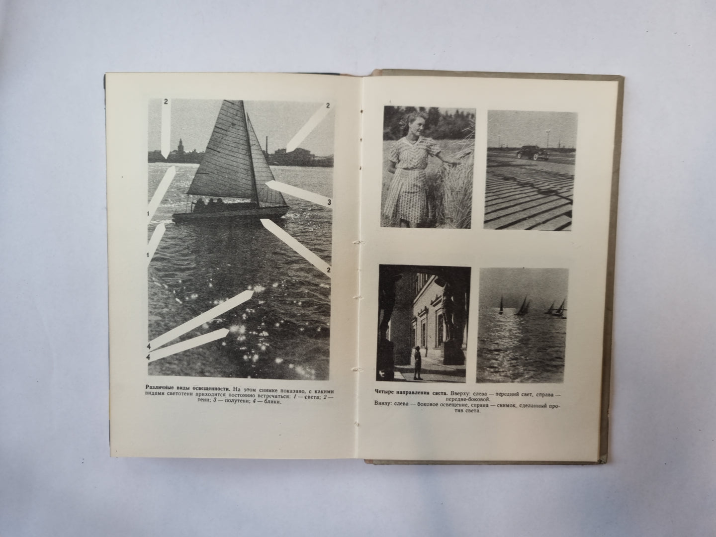 Юному фотолюбителю