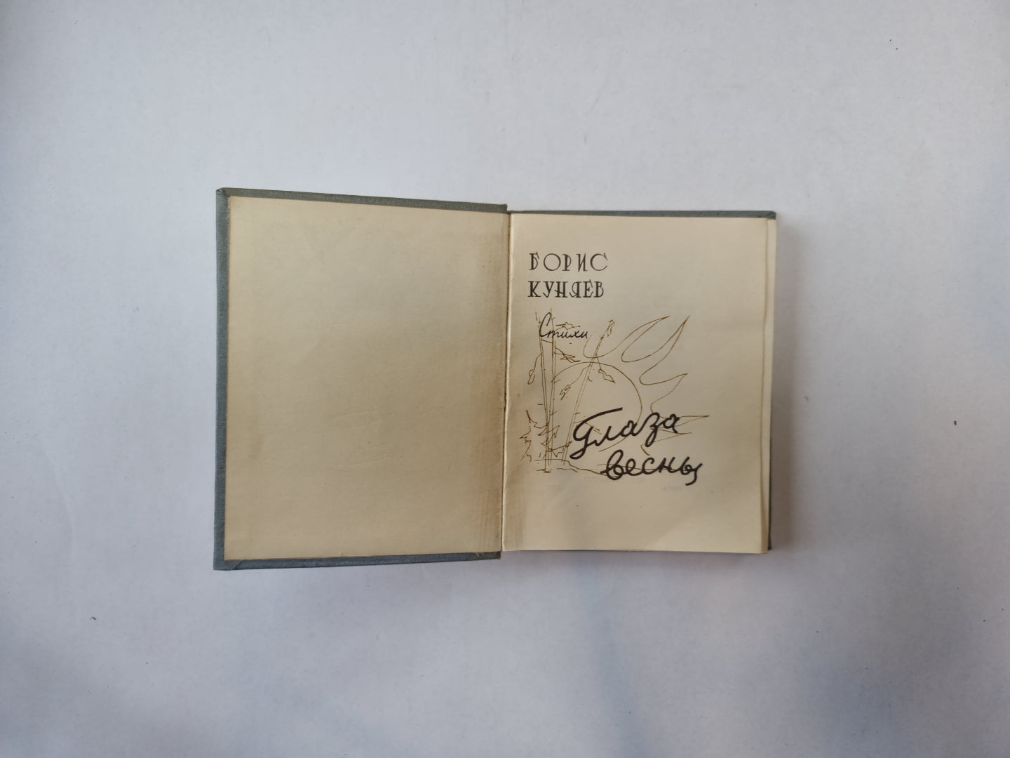 Глаза весны